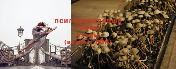 2c-b Белокуриха