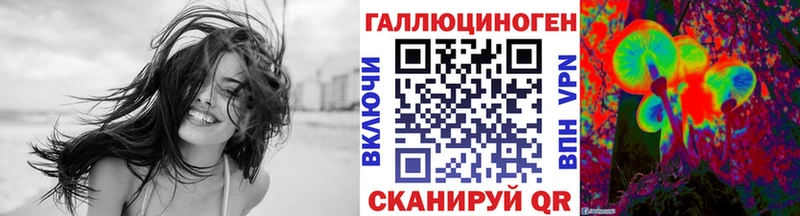 Псилоцибиновые грибы Psilocybine cubensis  Билибино 